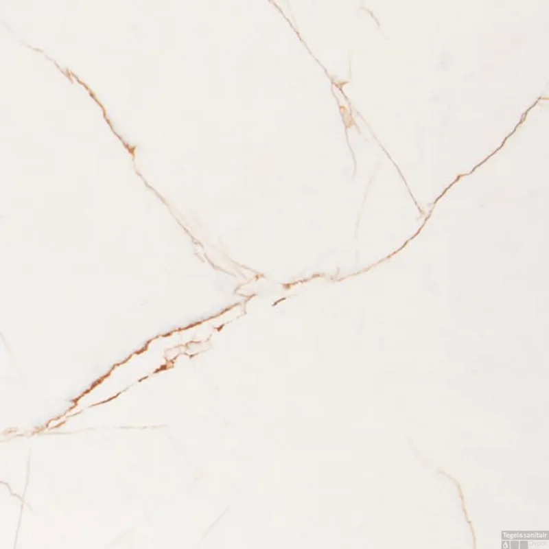 vtwonen Classic Vloertegel Caramel Glans Natuursteenlook 60x60 cm (doosinhoud 1,44 m2) Gecertificeerd