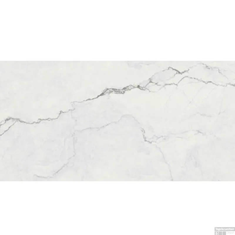 Vloertegel Flaviker Supreme Memories 60x120 cm Marmerlook Antique 3D Wit (Doosinhoud 1.44 m2) Gereduceerde Prijs