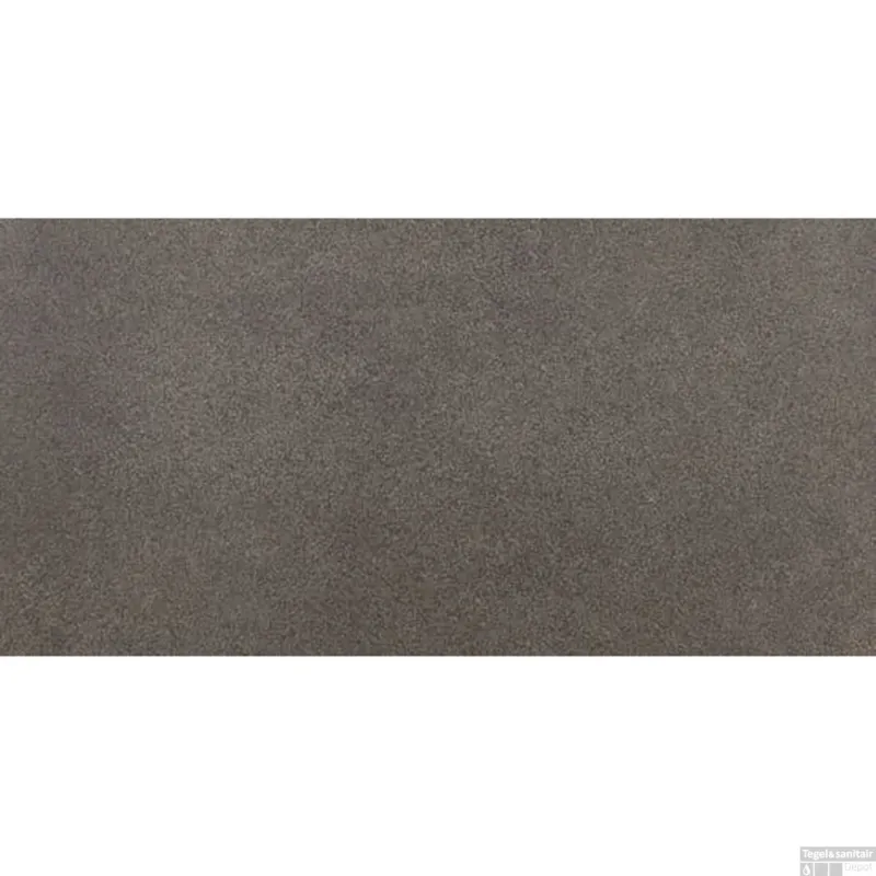 Vloertegel Piet Boon Fuse Gerectificeerd 60x120 cm Mat Lithos Brown (doosinhoud 2.16m2) Speciale Aanbieding