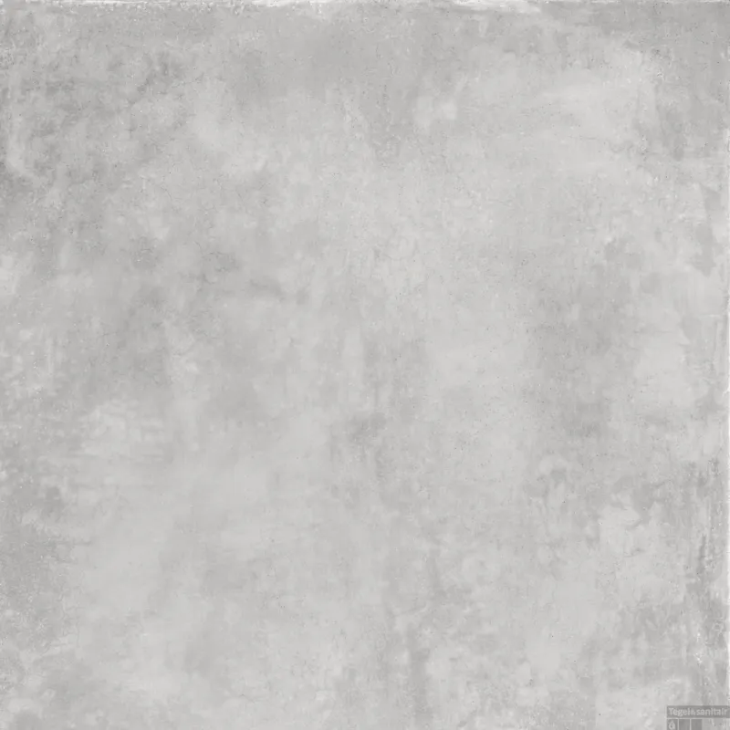 Merkproduct Vloertegel Energieker Parker 120x120 cm Silver (Doosinhoud 2,88 m2)