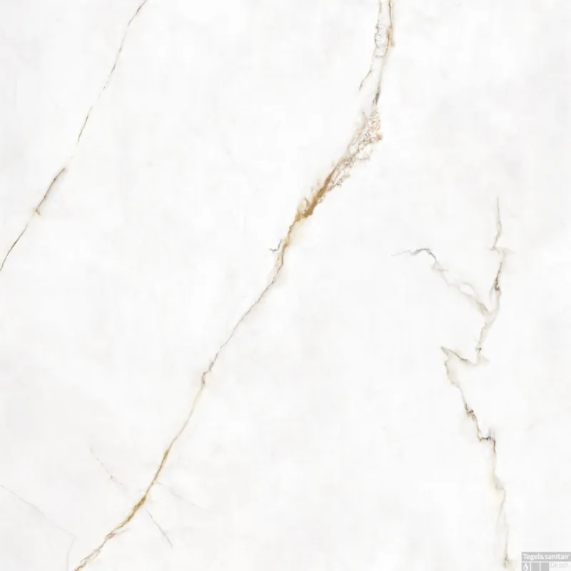 Direct Verzonden Vloertegel Energieker Dubai Gold 120x120 cm Naturel (Doosinhoud 2,88 m2)