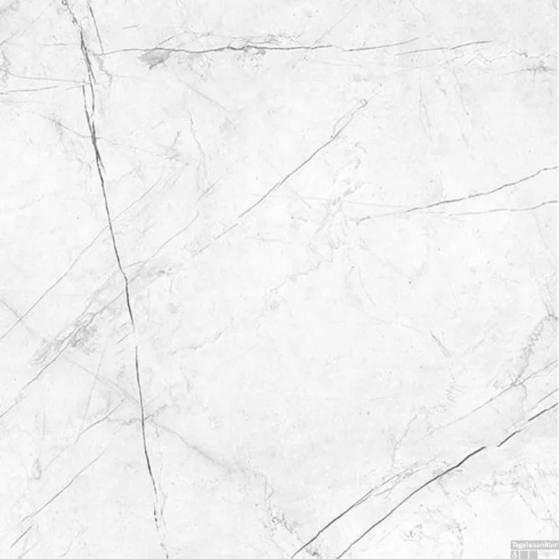 Veilige Betaling Vloertegel XL Energieker Ekxtreme Marquina Naturale 120x120 cm Marmerlook Mat Wit (Doosinhoud 2,88m²)