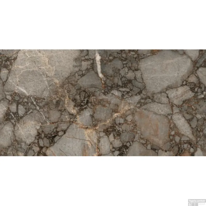 Nu Kopen Vloertegel Douglas & Jones Magnum 60x120 cm Marmerlook Gerectificeerd 6 mm Gepolijst Riverbed (doosinhoud 2.16m2)