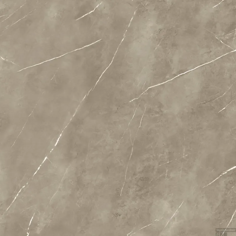 Must-Have Vloertegel Energieker Pietragrey Mat 120X120 cm Taupe (Doosinhoud 2,88M2)