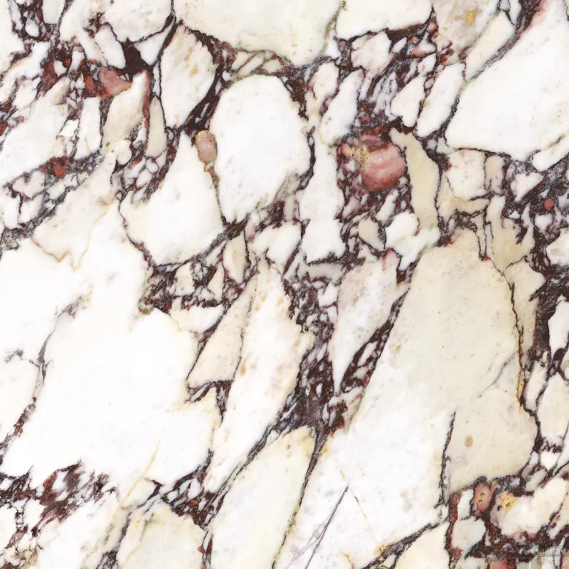 Vloertegel Energieker Calacatta 120x120 cm Naturel Viola (Doosinhoud 2,88 m2) Betrouwbaar