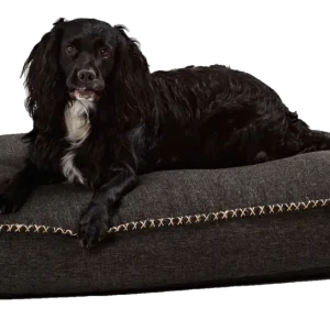 Uitverkoop Sackit Dog hondenkussen-Large-Black