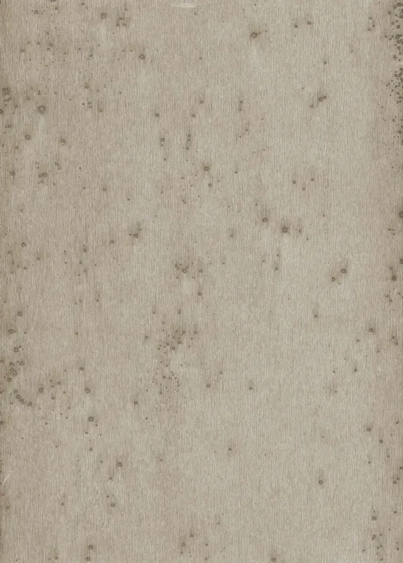 Meest Verkocht Behang Arte Metal X 37508 Stellar