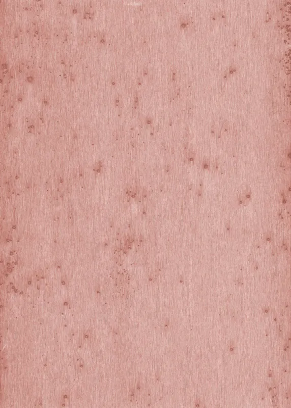 Behang Arte Metal X 37520 Stellar Merkproduct