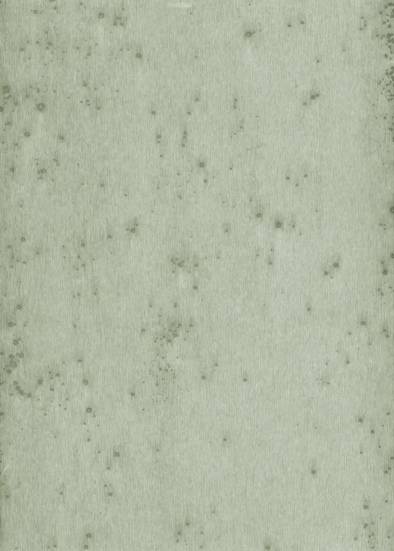 Merkproduct Behang Arte Metal X 37512 Stellar