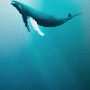 Komar Into Adventure Whale IAX4-0045 Behang Rechtstreeks Van De Fabrikant
