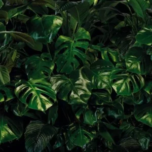 Snelle Levering Komar Pure Tropical Wall P333-VD4 Behang