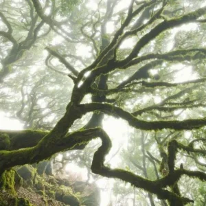 Merkproduct Komar Pure Forgotten Forest PSH092-VD4 Behang