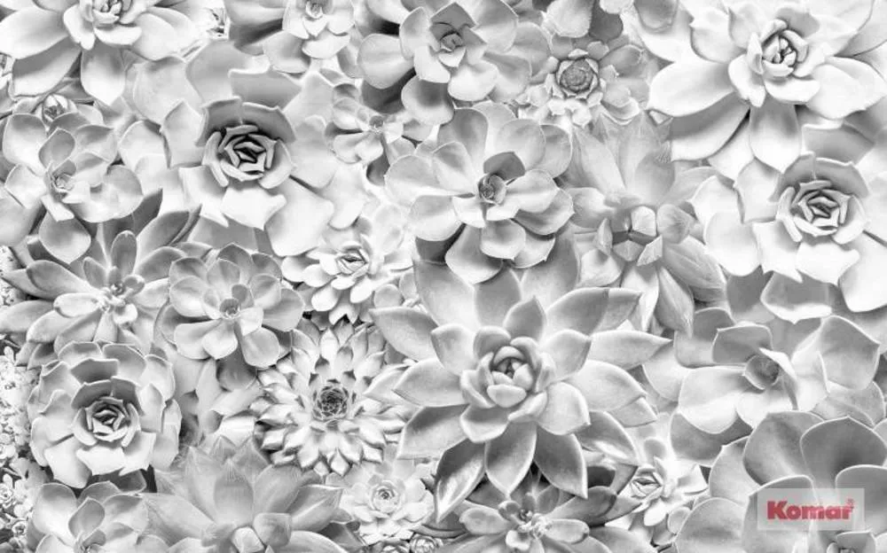 Beperkte Voorraad Komar Pure Shades Black and White P962-VD4 Behang