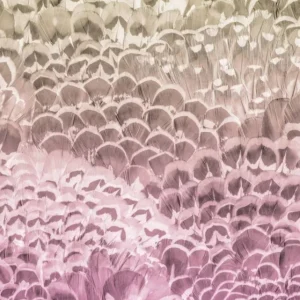 Komar Pure Pale Feathers P028-VD2 Behang Goedkoop