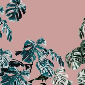 Tijdelijk Beschikbaar Komar Pure Monstera Rose P016-VD4 Behang