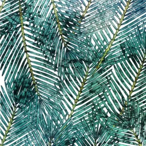 Komar Pure Palm Canopy P025-VD2 Behang Weekendaanbieding