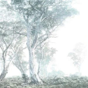 Komar Raw Magic Trees R3-023 Behang Snelle Levering