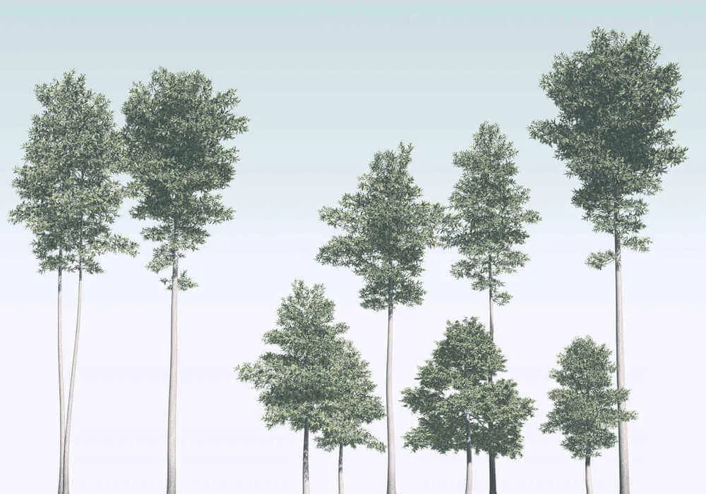 Lage Kosten Komar Raw Pines R4-040 Behang