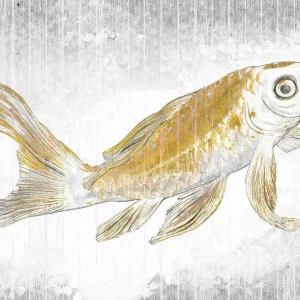 Koop Online Komar Raw Golden Koi RSX8-049 Behang