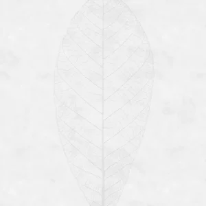 Komar Raw Decent Leaf R2-012 Behang Lage Kosten