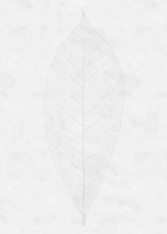 Komar Raw Decent Leaf R2-012 Behang Lage Kosten