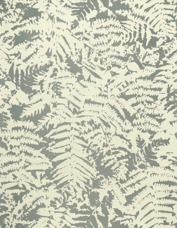 Alleen Vandaag Behang Little Greene 20th Century Papers Fern 1960 Clearing