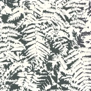 Behang Little Greene 20th Century Papers Fern 1960 Off Black Beste Prijs