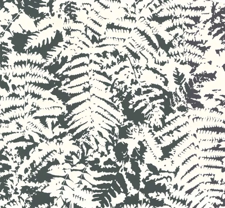 Behang Little Greene 20th Century Papers Fern 1960 Off Black Beste Prijs