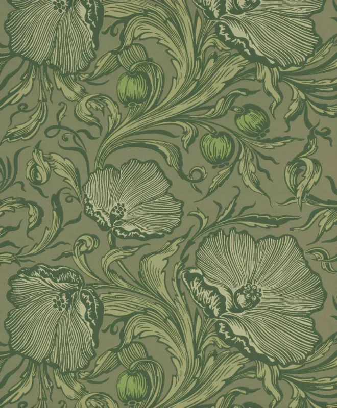 Behang Little Greene National Trust Papers III Poppy Trail Sage Green Lage Kosten