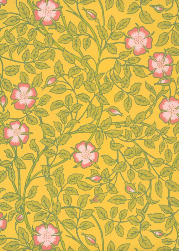 Premium Behang Little Greene National Trust Papers III Briar Rose Indian Yellow