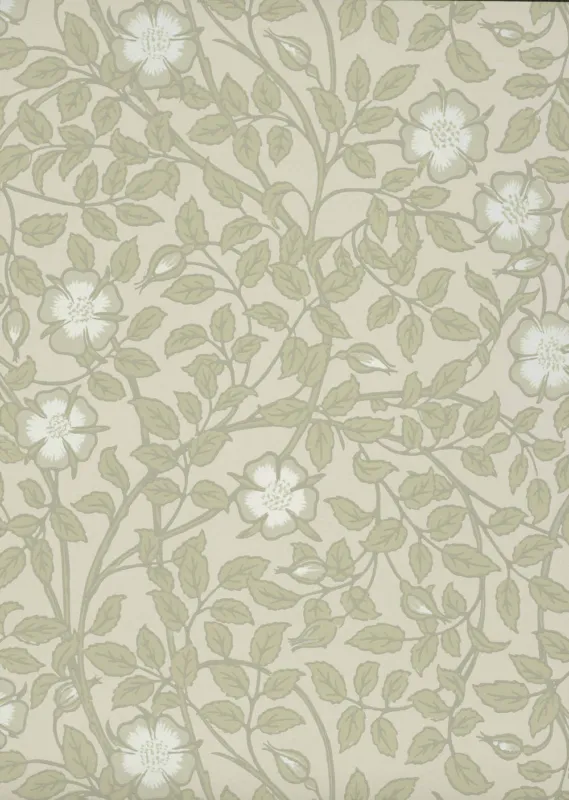 Behang Little Greene National Trust Papers III Briar Rose Green Stone Koop Online