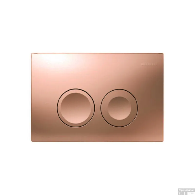 Beperkt Aanbod Bedieningsplaat Delta 25 by Geberit Frontbediening Koper