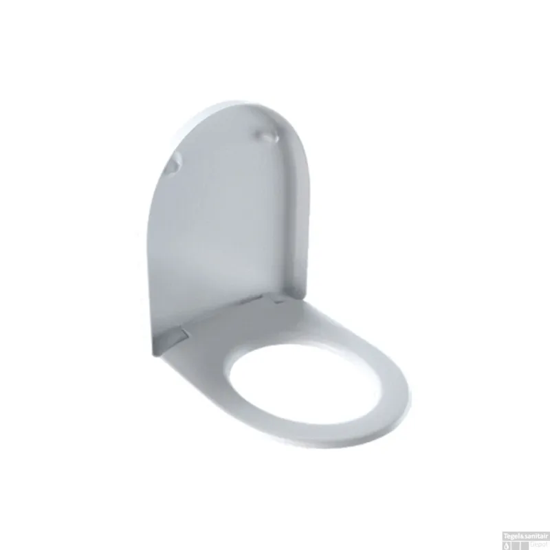 Closetzitting Geberit Icon Softclose Wit Lage Kosten
