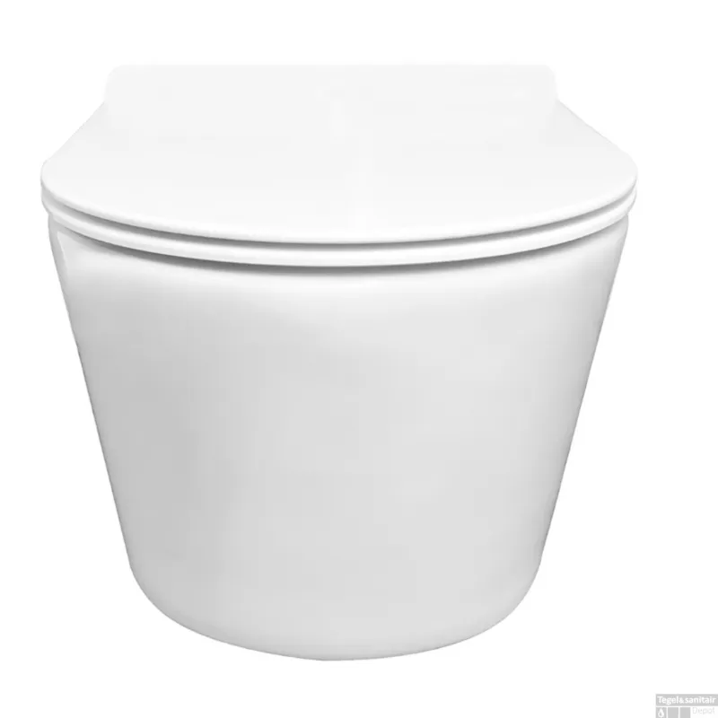 Rimless Wandcloset BWS Mark Met Toiletzitting Softclose En Quick Release Glans Wit Beste Prijs