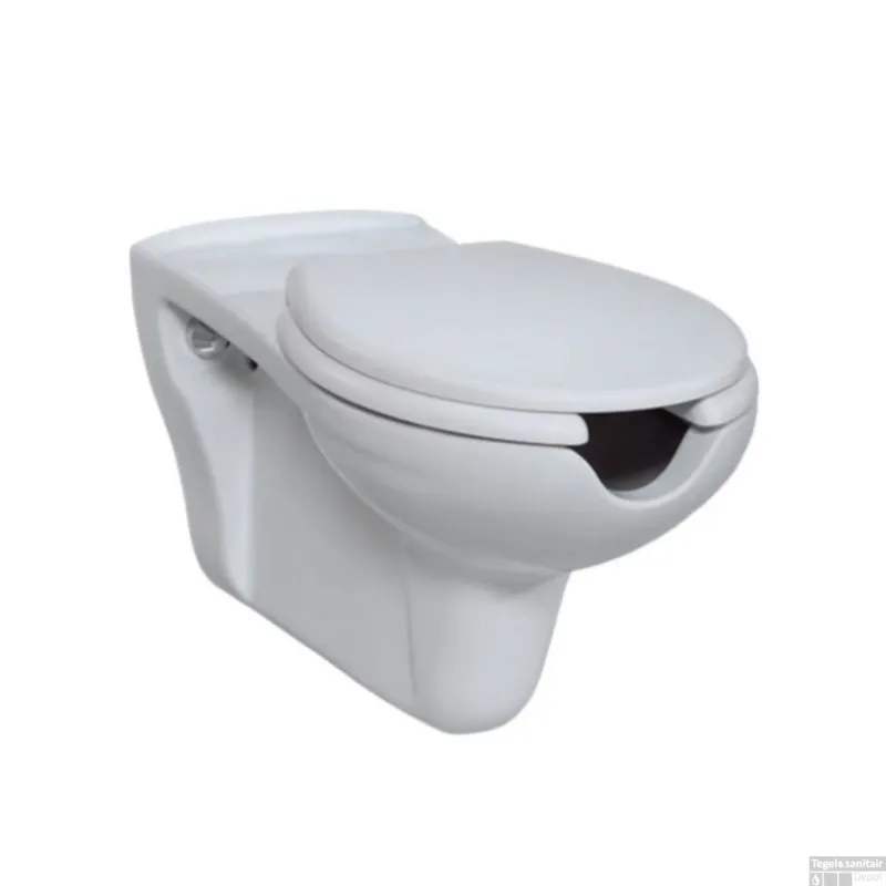 Betaalbaar Hangtoilet Mindervaliden BWS Keramiek 40x36 cm Wit
