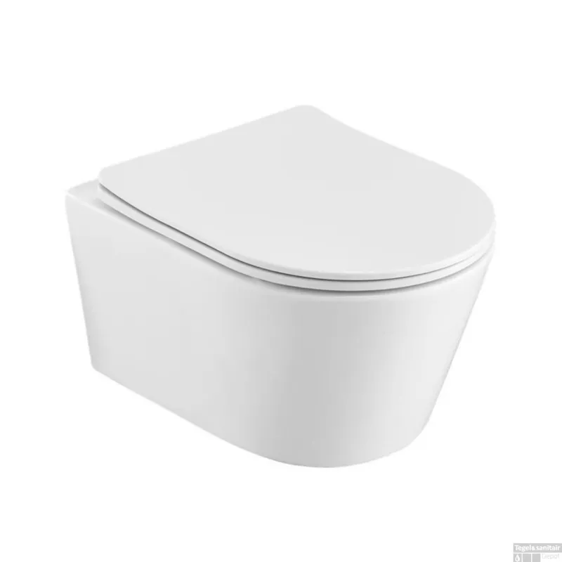 Wandcloset Sanilux Easy Flush Rimfree Compact Met Slim Flatline Softclose Zitting Favoriet
