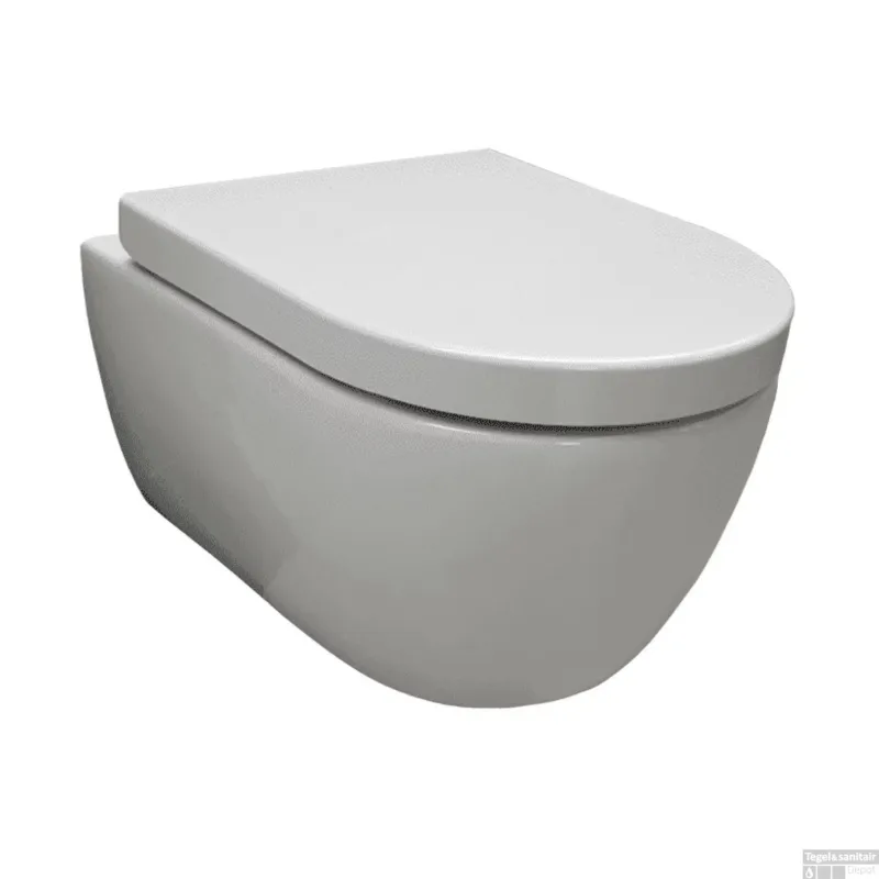 Wandcloset Sanilux Easy Flush Randloos Diepspoel (incl. zitting) Meest Verkocht
