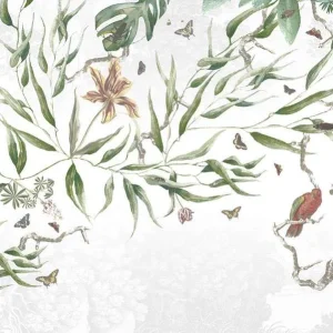 Koop Online Behang Noordwand Vanilla Lime 014301 Biodiversity