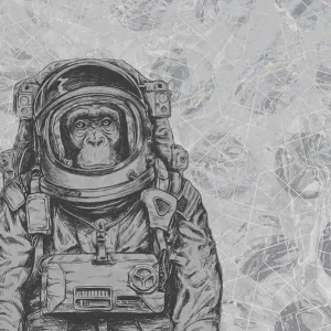 Behang Noordwand Vanilla Lime 014215 Space Monkey Gereduceerde Prijs