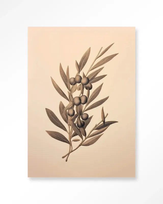 Oliva - Moderne Wanddecoratie | Artprint, Glass Art & Wandkleed Uitverkoop