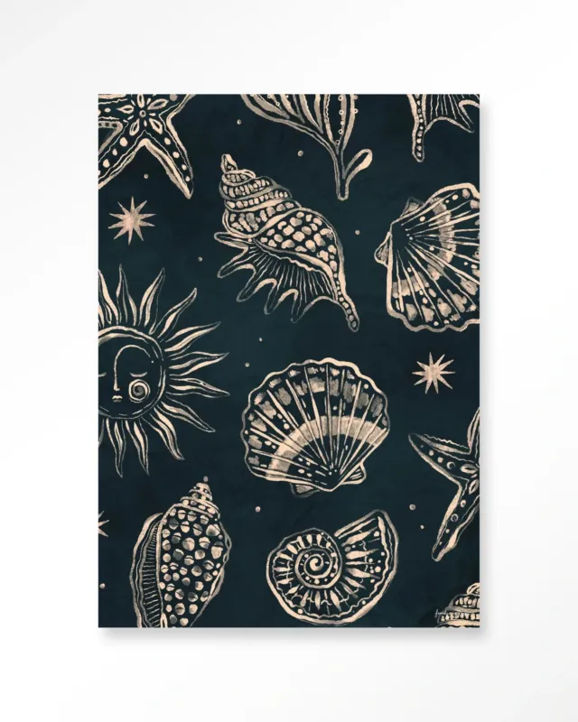 Favoriet Seashells Midnight - Moderne Wanddecoratie | Artprint, Glass Art & Wandkleed