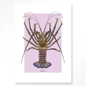 Koop Vandaag Langosta - Moderne Wanddecoratie | Artprint, Glass Art & Wandkleed