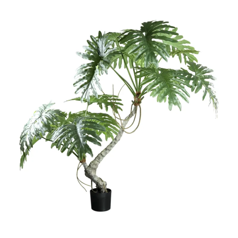 Premium Tree Green Spring Rain Tree In Black Pot