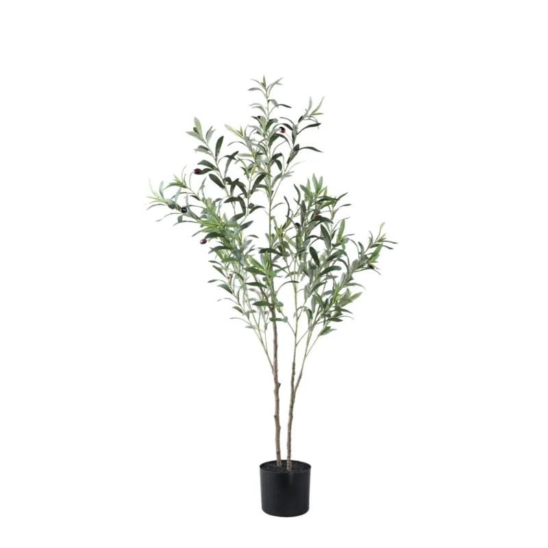 Tree Green Olive Tree In Pot S Gereduceerde Prijs