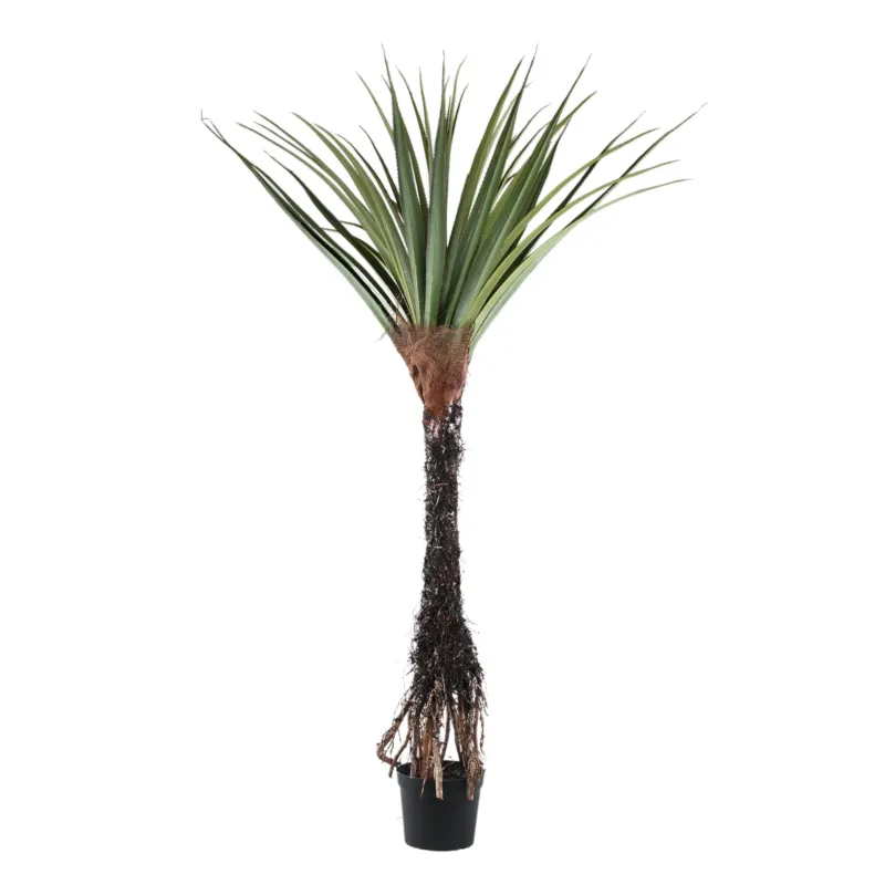 Snelle Levering Tree Green Pandanus Tree In Pot 210cm