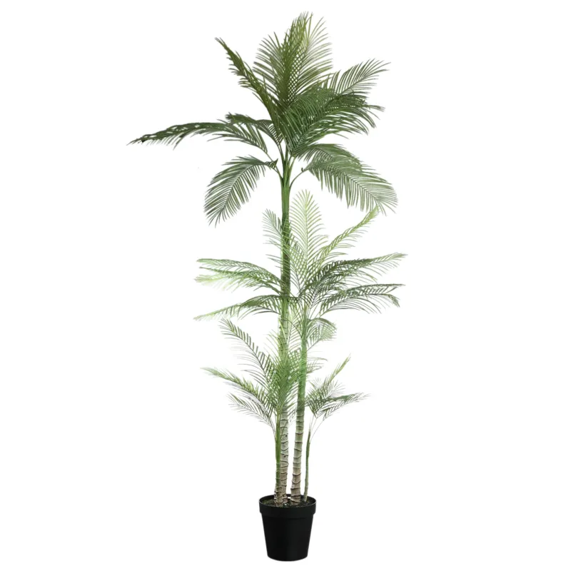 Betrouwbaar Tree Green Palm Tree In Black Pot