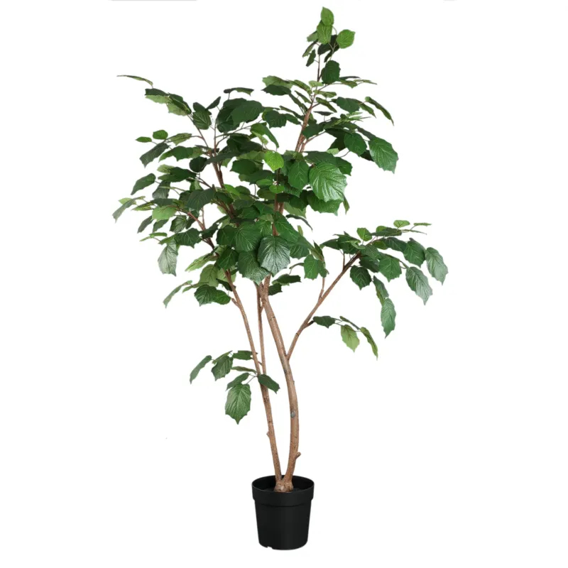 Gereduceerde Prijs Tree Green Grape Leaf Tree In Pot
