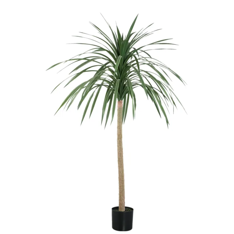 Must-Have Tree Green Chinese Single Lobelia In Black Pot