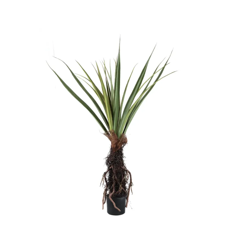 Uitverkoop Tree Green Pandanus Tree In Pot 150cm