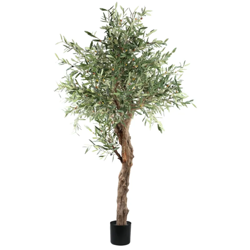 Tree Green Olive Tree In Pot 210cm Uitverkoop